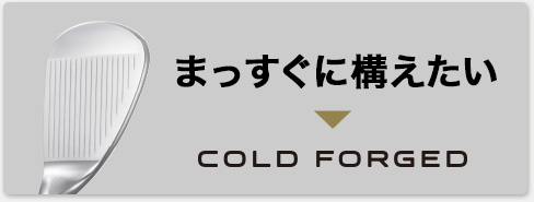 ܂ɍ\→COLD FORGED