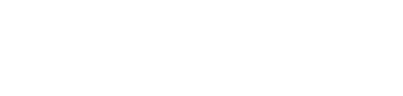 #1 WEDGE CAMPAIGN