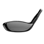 GTS3 Fairway
