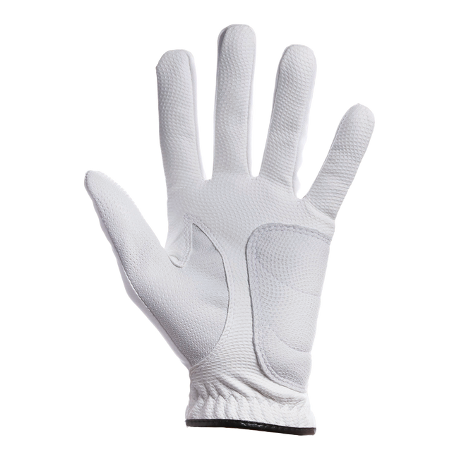 タイトリスト スーパーグリップ グローブ