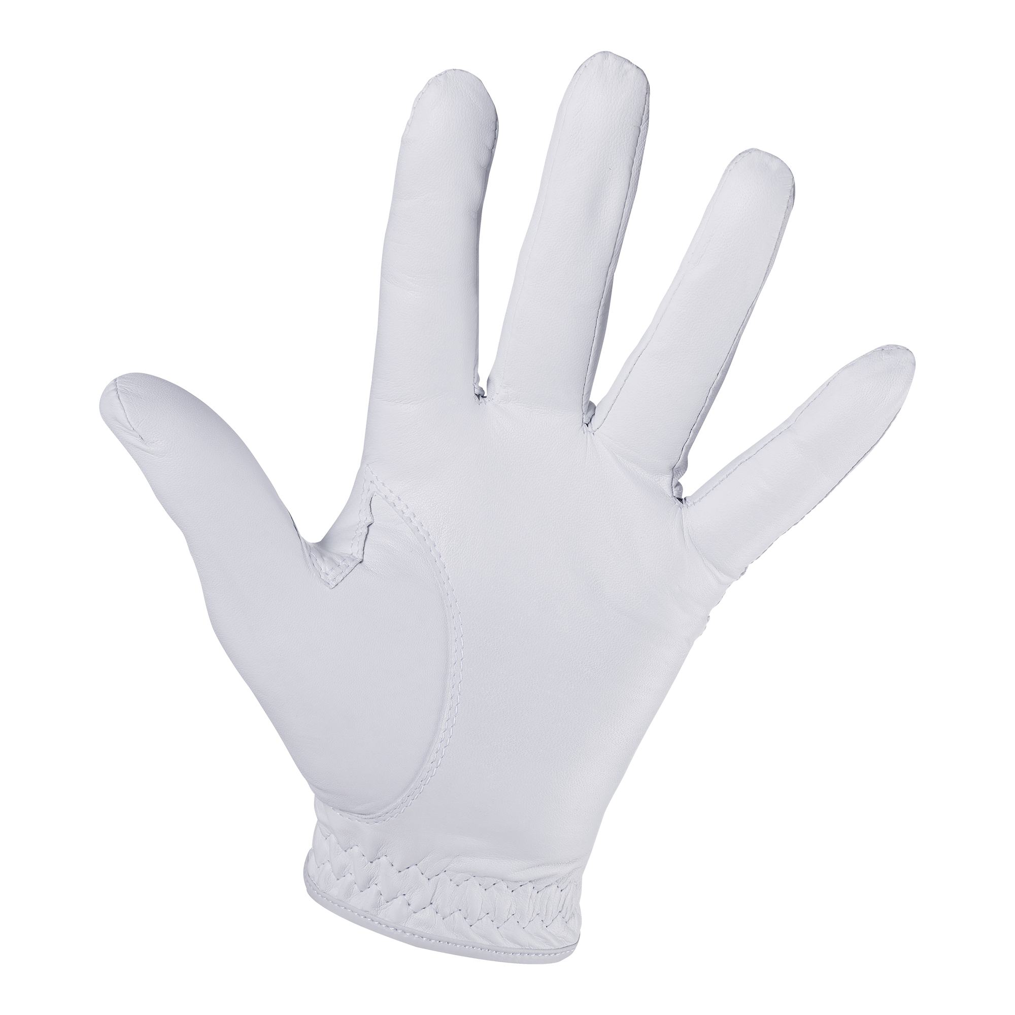 タイトリスト プロフェッショナル グローブ