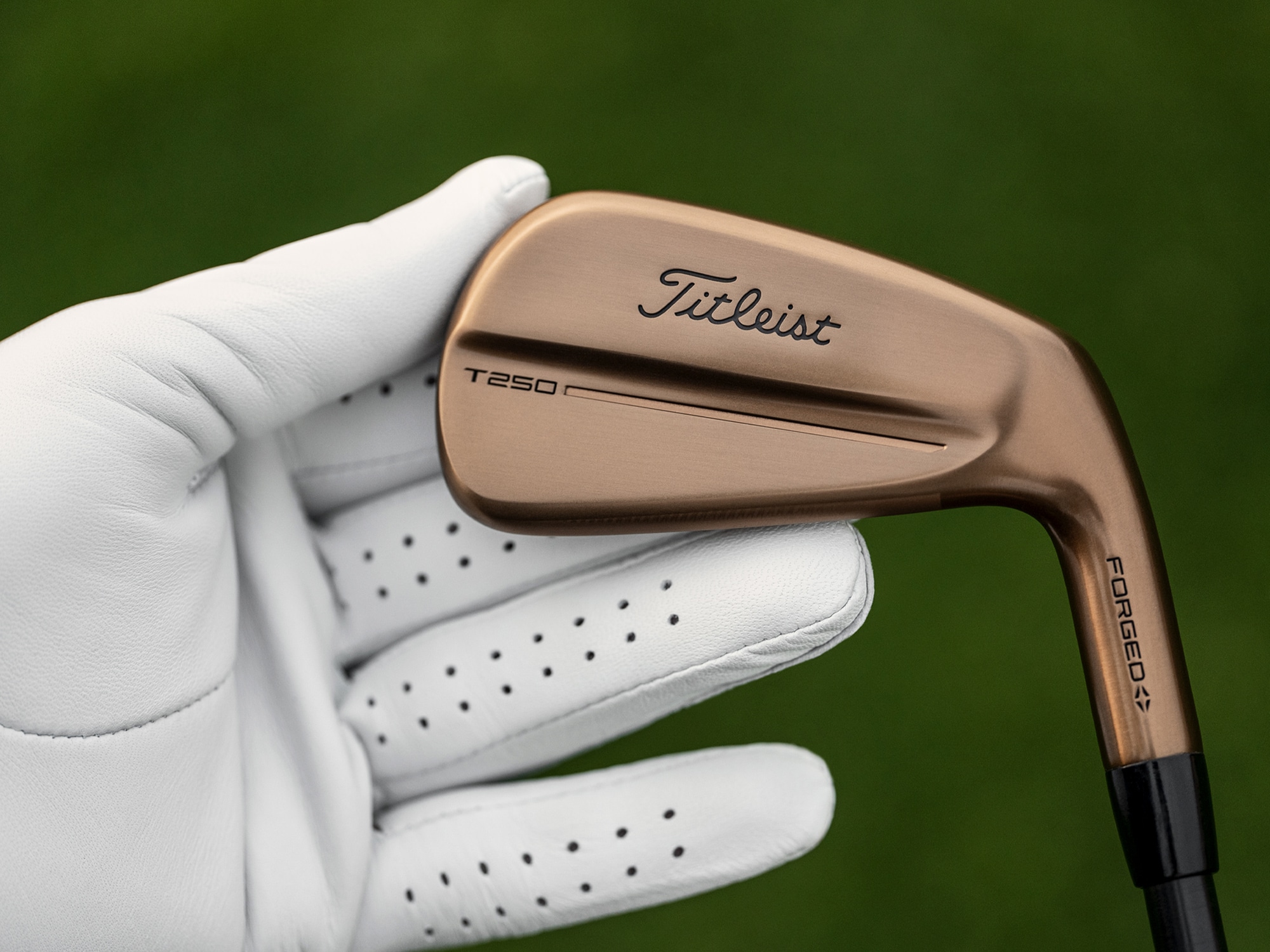 Limited Edition T-Series Oil Can Irons